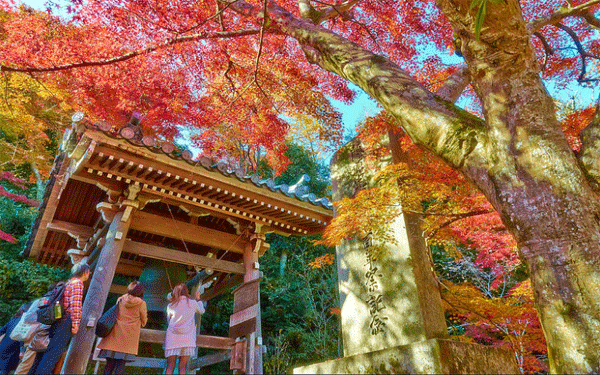 Nét quyến rũ của cố đô Kyoto