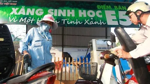 Xăng E5 ế ẩm, doanh nghiệp gặp khó