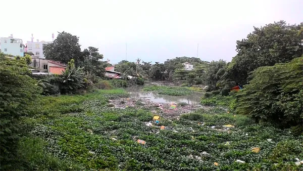 Sắp chết bên dòng kênh chết
