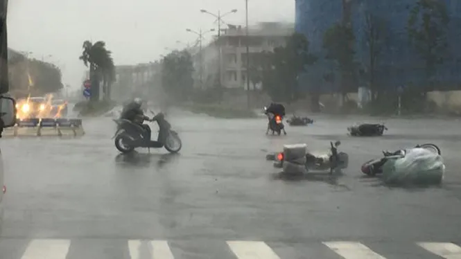 Bão số 1 gây mưa lớn, gió mạnh: cây đổ ngổn ngang, hoa màu bị ngập úng