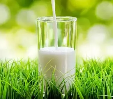 Thực phẩm có lợi cho sức khỏe trong mùa hè nóng nực