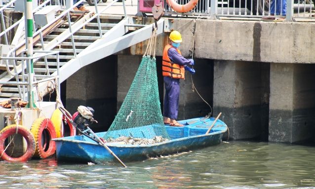 Khắc phục tình trạng cá chết trên kênh Nhiêu Lộc – Thị Nghè