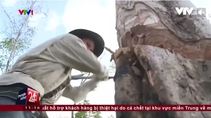 Dàn dựng là không thể chấp nhận trong nghề báo”