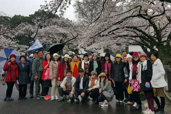 Nhật Bản giới thiệu 4 tour mới của tuyến Đường Rồng Bay