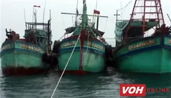 Phát hiện 3 tàu sang mạn dầu trái phép trên biển