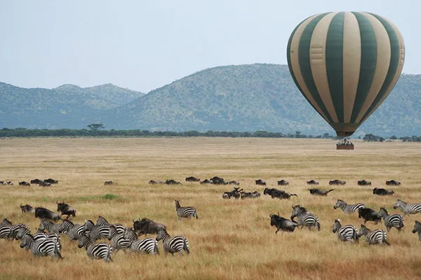 Kenya: Hướng dẫn viên Trung Quốc đâm chết du khách 