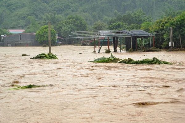 Các tỉnh phía Bắc chủ động đối phó mưa lũ 