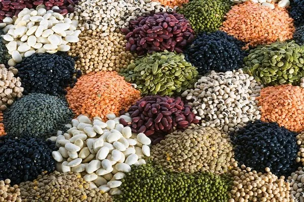 Sống lâu nhờ ăn đạm thực vật