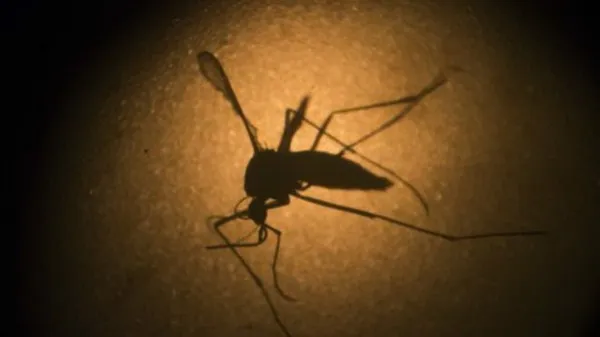 Zika tiếp tục lây lan, thêm 5 trường hợp được ghi nhận tại Florida 