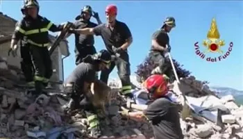 Kỳ diệu chú chó được cứu sau 9 ngày mắc kẹt vì động đất ở Italy