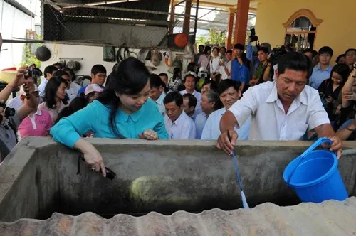 Diệt lăng quăng, bọ gậy phòng, chống bệnh do vi rút Zika, sốt xuất huyết