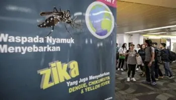 Virus Zika có thể sống trong mắt và lây lan qua nước mắt