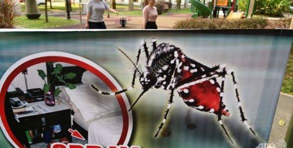 Lây nhiễm Zika tại Singapore lên đến 283 người