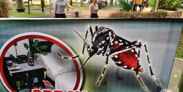 Lây nhiễm Zika tại Singapore lên đến 283 người