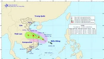 Tập trung khẩn trương ứng phó với áp thấp nhiệt đới