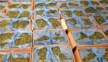 Hải quan Tân Sơn Nhất nhận thư khen của Phó Thủ tướng Chính phủ