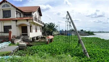 Khẩn trương sửa chữa đê bao xuống cấp ven sông Sài Gòn- Nam rạch Tra