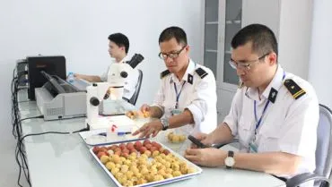 TPHCM công bố 5 thủ tục hành chính trong lĩnh vực bảo vệ thực vật