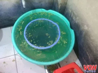 TPHCM: Tiếp tục phát hiện cơ sở ngâm rau muống bằng hóa chất