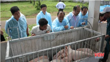 Lễ ra mắt sản phẩm heo giống Sagri tại tỉnh ĐăkNông