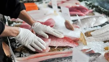 Làm sao để không mua nhầm... hải sản
