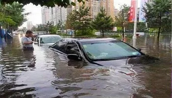 Bình đẳng dưới cơn mưa
