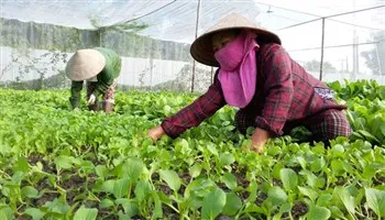 9 tháng, tổng sản phẩm nông lâm ngư nghiệp TPHCM đạt 5530 tỷ đồng