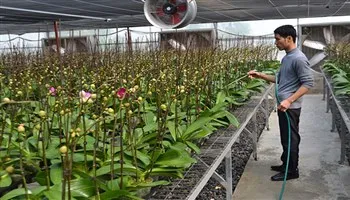 Cả nước hiện có 29 khu nông nghiệp ứng dụng công nghệ cao