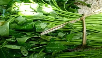 Đừng để người dân tự đối phó với thực phẩm bẩn