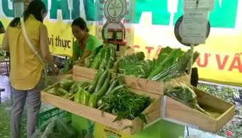 Giá cả thị trường 11/10