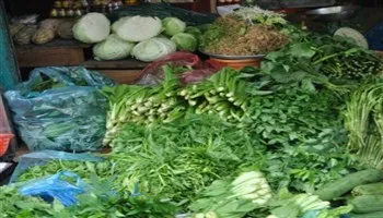 Giá cả thị trường 14/10