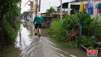 9 con đường chắc chắn ngập trong triều cường cao nhất năm