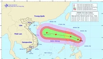 Công điện khẩn của Bộ TTundefinedTT về việc ứng phó với mưa lũ và bão Sarika