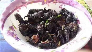 Bọ Hươu - món ăn côn trùng mới tại Campuchia
