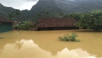 Phòng ngừa dịch bệnh phát sinh sau lũ