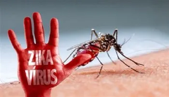 Nhận biết triệu chứng và phòng ngừa Zika như thế nào? 