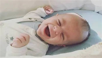 Bé bốn tháng tuổi thiệt mạng vì chó tấn công