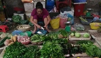 Giá cả thị trường 28/10: giá rau vẫn chưa hạ nhiệt