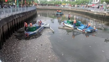 Nghiên cứu lắp đặt thiết bị phù hợp tuyến kênh Nhiêu Lộc - Thị Nghè phòng ngừa cá chết