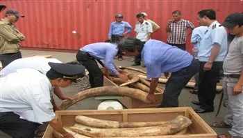 Phó thủ tướng yêu cầu làm rõ đường dây buôn lậu ngà voi 