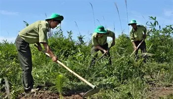 Chú trọng bảo vệ rừng trong tái cơ cấu kinh tế Tây Nguyên
