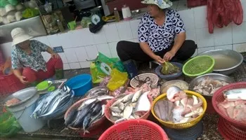 Giá cả thị trường 3/11: Dưa cải 18.000 đồng/kg