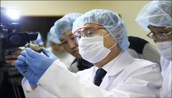 Xác ướp sư tử hơn 10.000 năm tuổi vẫn còn nguyên