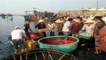Tiêu huỷ 966 tấn hải sản không bảo đảm an toàn thực phẩm và bồi thường 100% giá trị