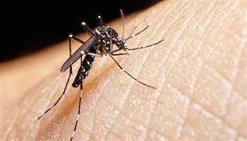 Đã có 35 trường hợp nhiễm vi rút Zika tại TPHCM