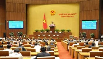Luật về trình tự, thủ tục, pháp lý trong quan hệ giữa nhà nước với công dân
