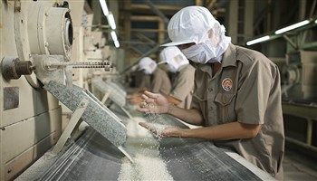 Loay hoay tìm thương hiệu cho gạo Việt