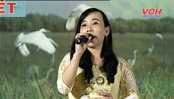 Tuyển chọn Giọng ca Cải lương buổi 8 (19/11/2016)