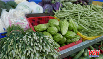 Giá cả thị trường 25/11: cá hú 50 ngàn đồng/kg
