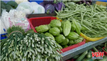 Giá cả thị trường 25/11: cá hú 50 ngàn đồng/kg